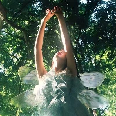 飞向宇宙：巴斯的浩瀚无垠之旅